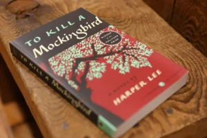 To Kill a Mockingbird (by Harper Lee) book